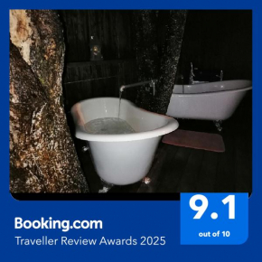 Tree House 4 Two, Rotorua
